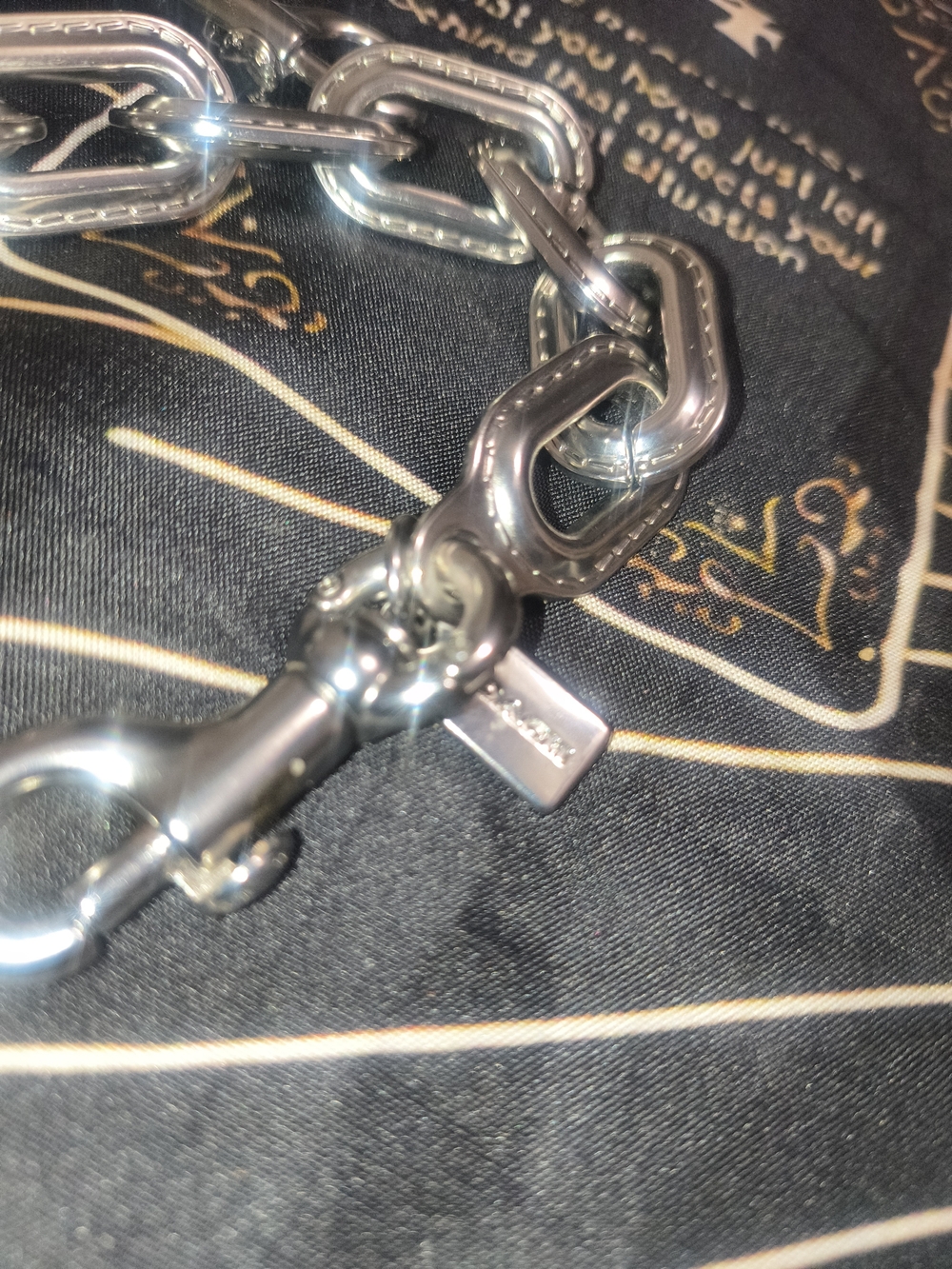 Coach Link Chain Strap - Picture 2 of 4